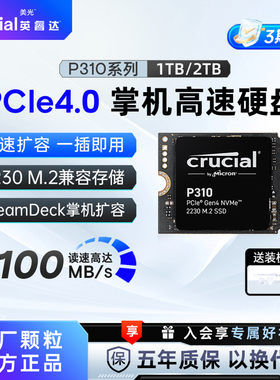 英睿达P310 2230固态硬盘500G/1T/2T  steamdeck游戏掌机扩容SSD