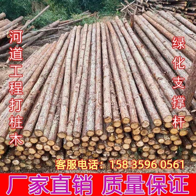 树木支撑架杆g树苗防风架木质稳定园林绿化苗木支撑架行道树木支