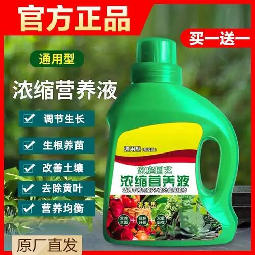 营养液植物通用型土壤水陪桂花树营吊瓶水养花园花草花卉绿萝蕨类