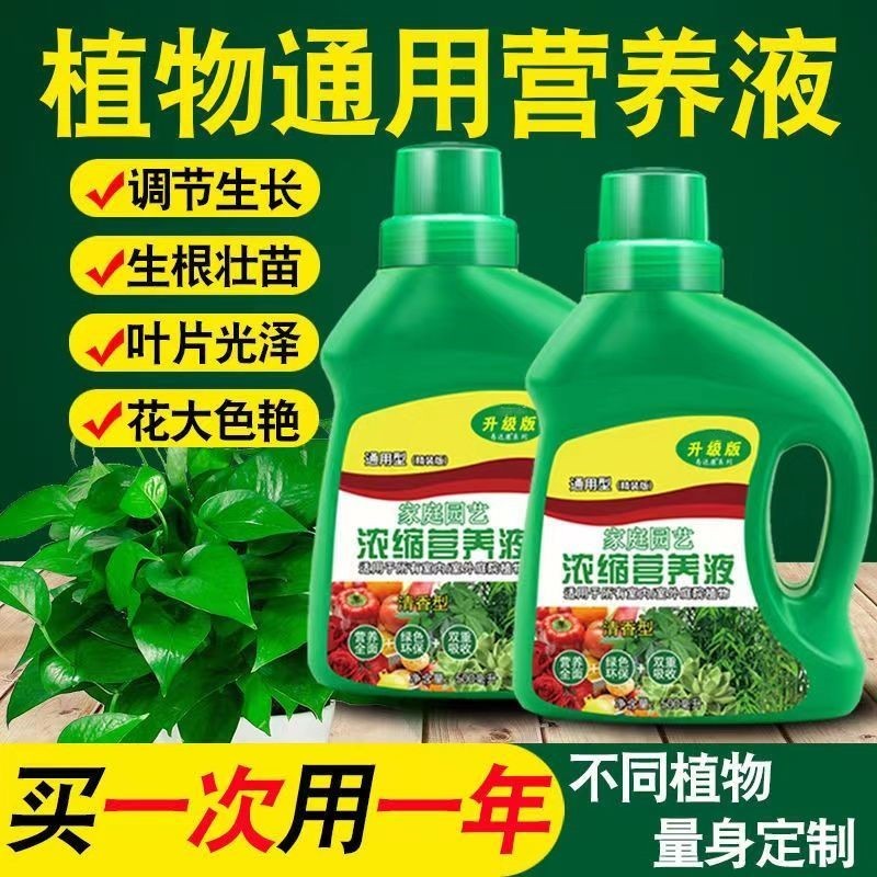 营养液植物通用型发财树通棒护理盆栽家庭水培高浓缩花肥绿叶树木