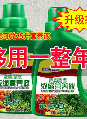 营养液植物通用型酸性绿叶王液综合蕨类活力素浓缩园艺叶面家用