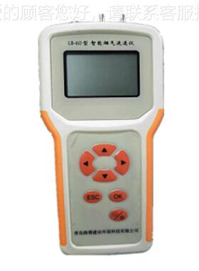 青岛路博LB-LB-100校010子型电孔口流量准器