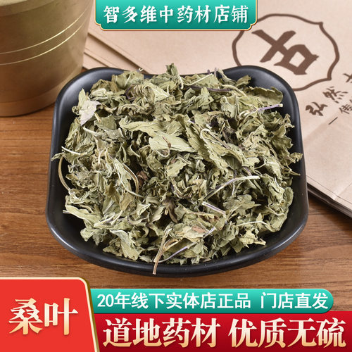 中药材桑叶家桑黄桑桑葚叶