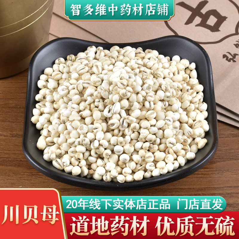 中药材店铺川贝母10g克中药材松贝母乌花贝母线下实体门店正品