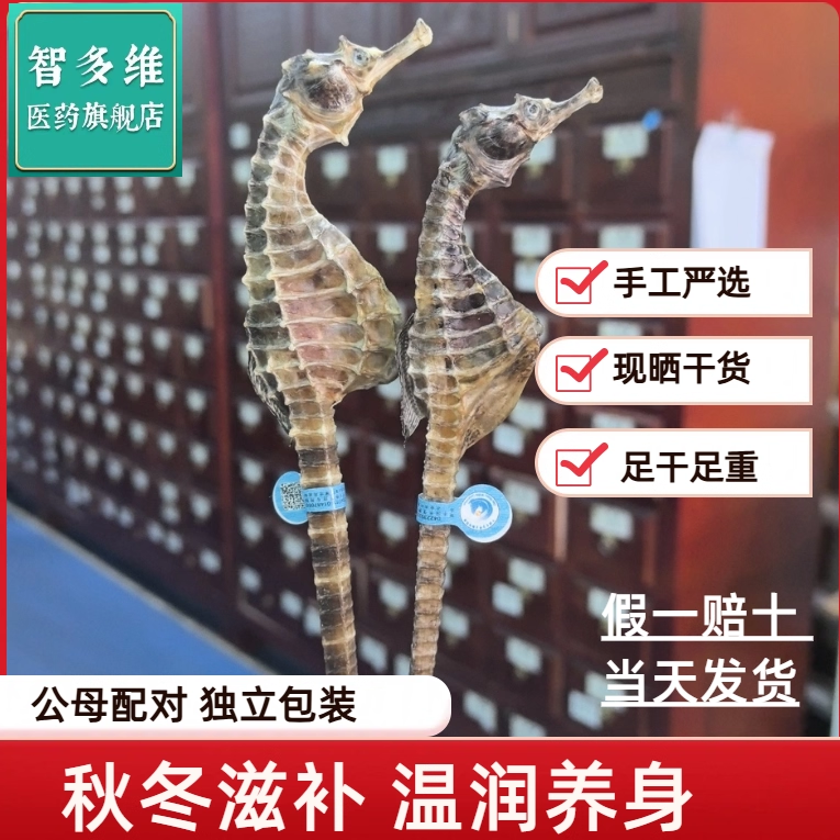 中药材海马干货海马一公一母配对泡酒海龙药典煲汤雌雄一对药饮片