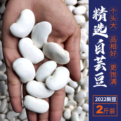 2022白芸豆新货云南特级精选芸豆大白芸豆大白豆雪豆干货杂粮2斤