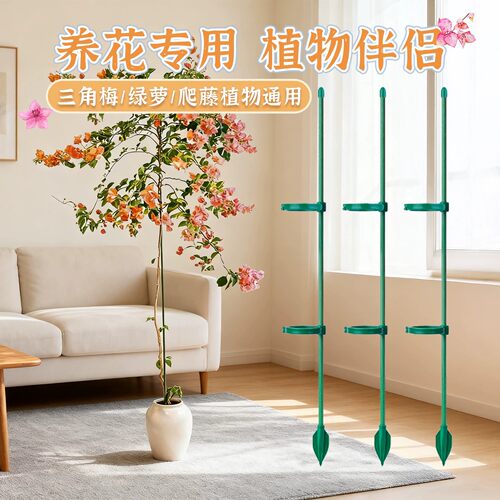 三角梅造型支架高飘支撑杆园艺月季花枝架植物龟背竹防倒伏固定器