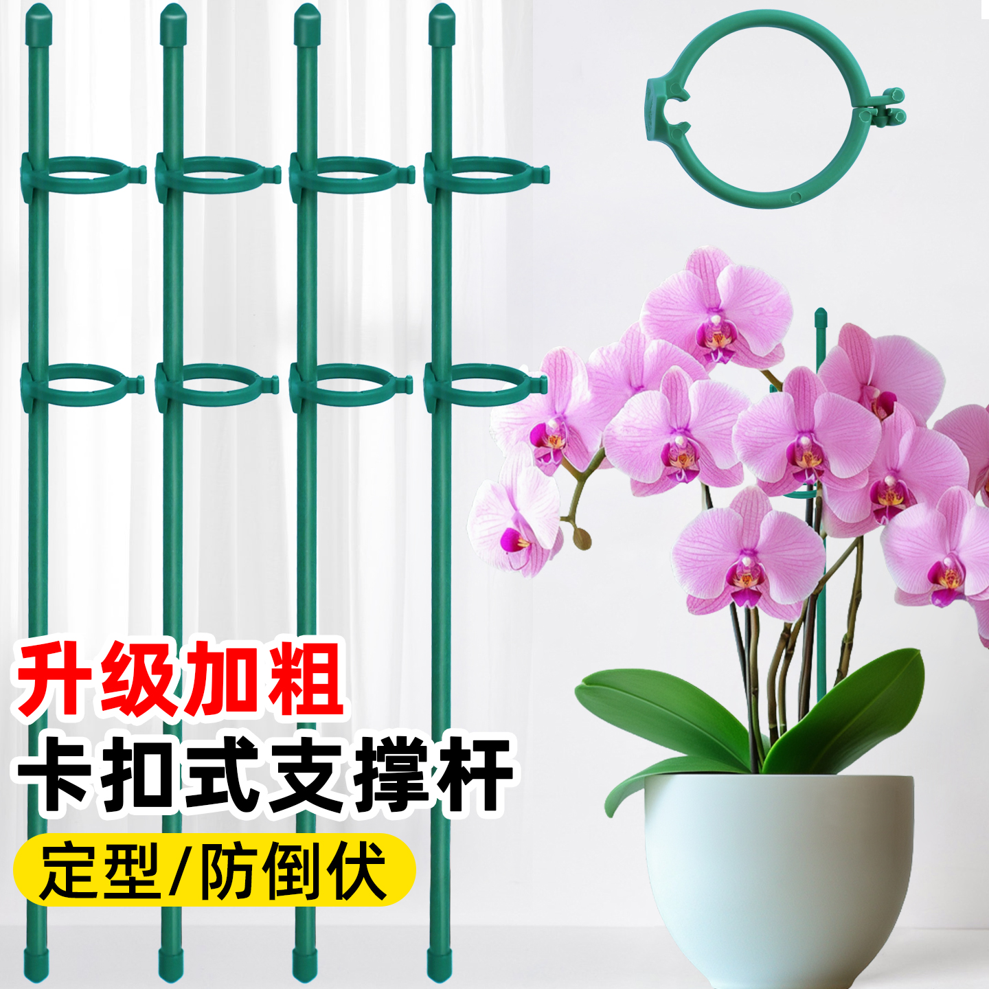 龟背竹植物固定神器支撑杆
