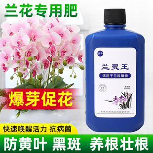 兰灵王兰花专用肥肥料兰科多箭促花杀菌药活化剂蝴蝶兰陵王营养液