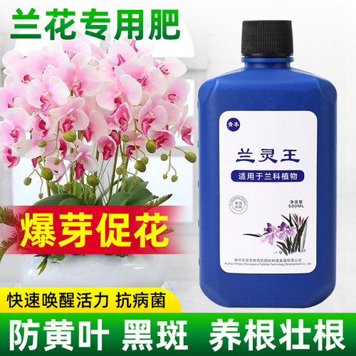 兰灵王兰花专用肥肥料兰科多箭促花杀菌药活化剂蝴蝶兰陵王营养液