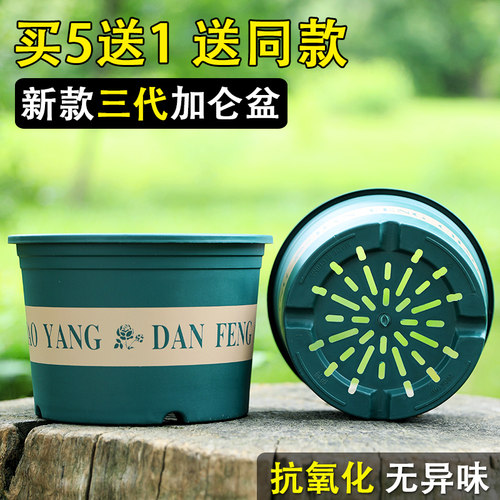 买5送1，送同款！矮胖控根加仑盆