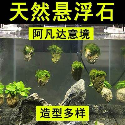 莫斯浮石鱼缸造景浮石阿凡达景观悬浮石头水族箱假山水草组合装饰