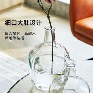 玻璃花瓶透明马醉木吊钟小口径大肚花瓶水培水养餐桌落地装饰摆件