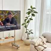 仿真绿植橡皮树花叶榕室内客厅大型落地假盆栽仿生植物高端轻奢