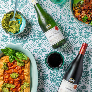 皮诺塔吉 CWS Classic KWV 赤霞珠干红葡萄酒 南非