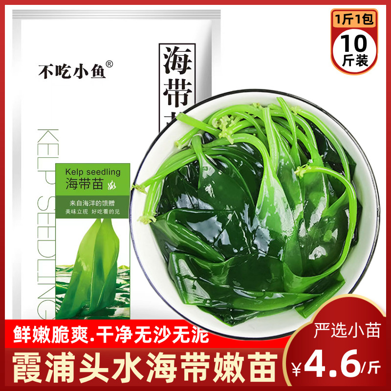 大碗渔海带嫩苗1斤泡1.7斤翠绿色
