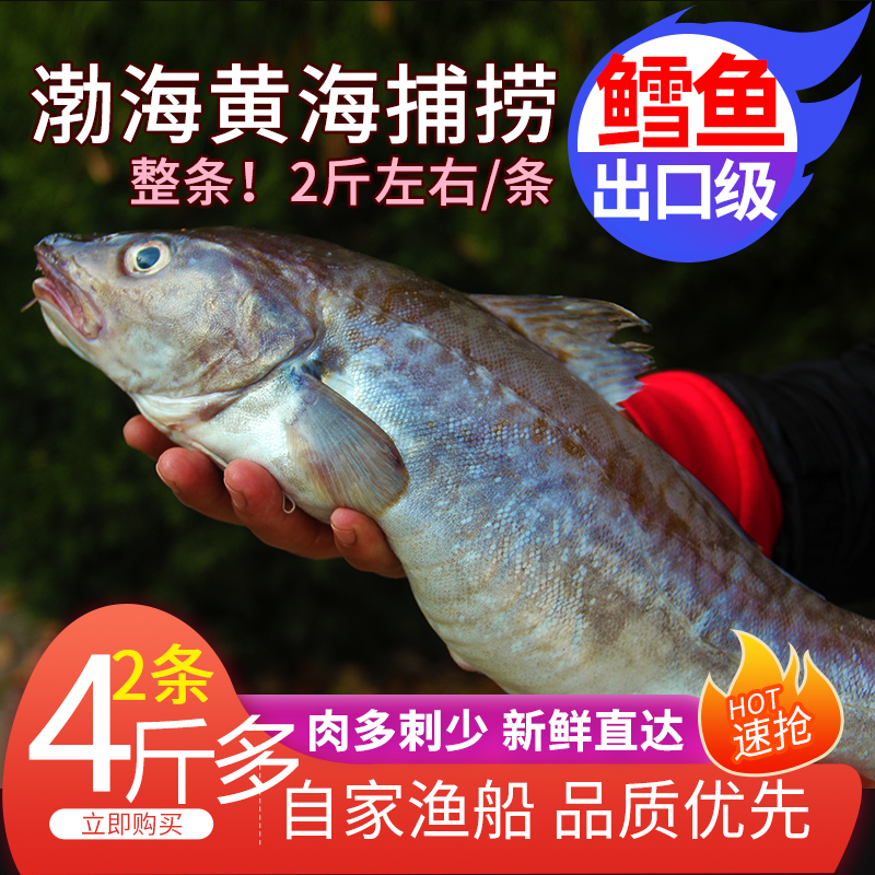 新鲜鳕鱼大西洋深海真鳕生鲜宝宝