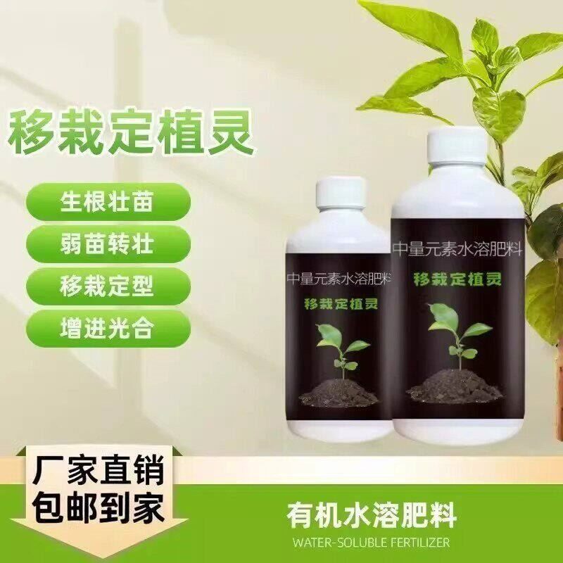 移栽定植灵植物定苗移植增加成活率生根壮苗高吸收水溶复合肥-txy