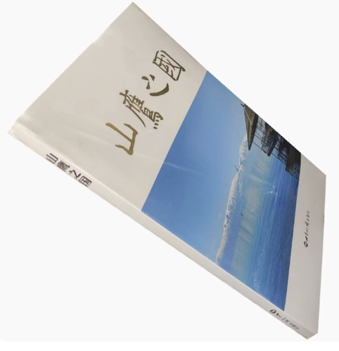 【正版全新】山鹰之国 叶皓  世界知识出版社