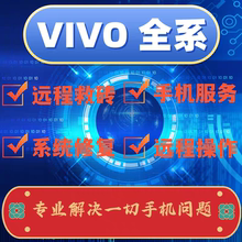 VIVO s9 s10pro s9e s10  s10e y33s s12 y35 y100i手机远程解锁