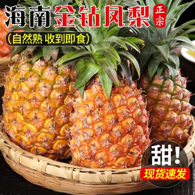 产地直发海南金钻凤梨新鲜水果