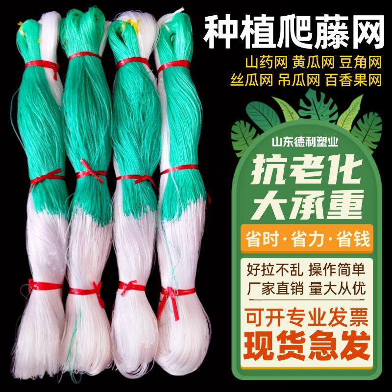 专用豆角苦瓜丝瓜吊瓜百香果植物爬藤网种植网攀爬农用加粗瓜网