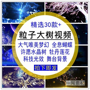 粒子大树视频梦幻水晶树牡丹发光效线条晚会舞台后期合成剪辑素材