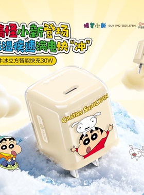 【苹果17首选】公牛蜡笔小新IP联名冰立方充电头适用苹果充电器线iPhone17P快充头16手机typec数据线正品30W