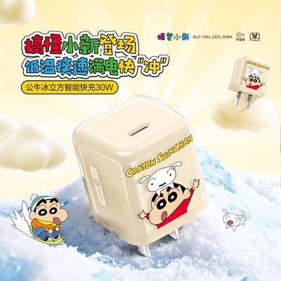 【苹果17首选】公牛蜡笔小新IP联名冰立方充电头适用苹果充电器线iPhone17P快充头16手机typec数据线正品30W