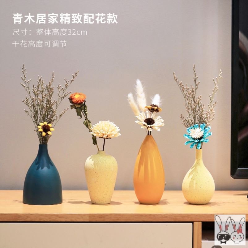 多肉花园设计多少钱 多肉花园设计优惠券免费领取 有条鱼