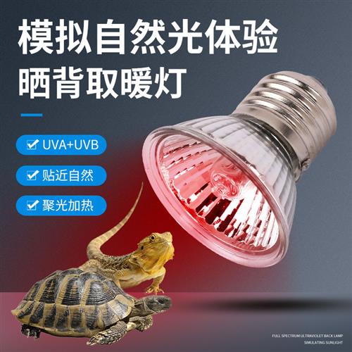 芦丁鸡取暖灯泡UVA+UVB全光谱爬宠乌龟晒背灯育雏灯泡25w50W75瓦