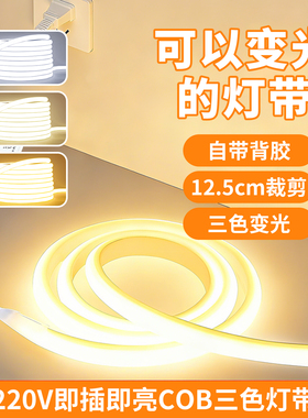 三色变光cob灯带led灯条220v超亮自粘客厅吊顶线形氛围灯户外防水