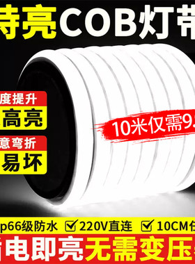 led灯带COB软灯条户外工程防水超亮220v自粘线形灯槽家用客厅吊顶