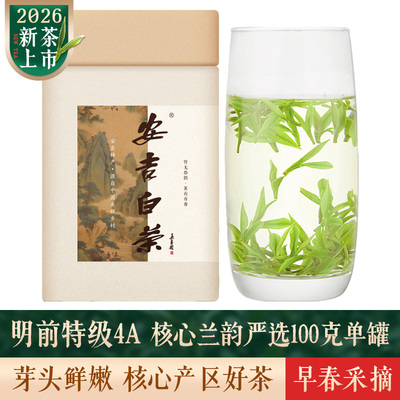 2026新茶明前特级安吉白茶100克