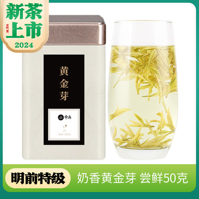 2024年新茶明前特级黄金芽50g