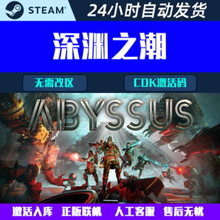 可正版联机深渊之潮Abyssus Steam电脑游戏CDK激活码全球区国区