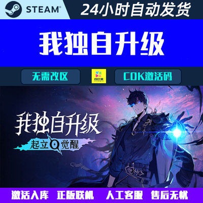 可正版联机 我独自升级 起立·觉醒 Steam电脑游戏CDK激活码