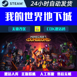 联机 Steam游戏CDK激活码 我 Dungeons 世界地下城Minecraft 正版