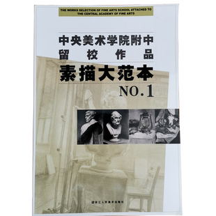 素描大范本NO.1 中央美术学院附中留校作品大范本静物素描央美附中素描大范本孙伟翟欣建许娟铁马浙江人民美术出版社