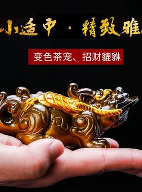 金蟾茶宠摆件精品可养变色茶具配件茶桌茶盘茶玩金蝉招财茶台蟾蜍