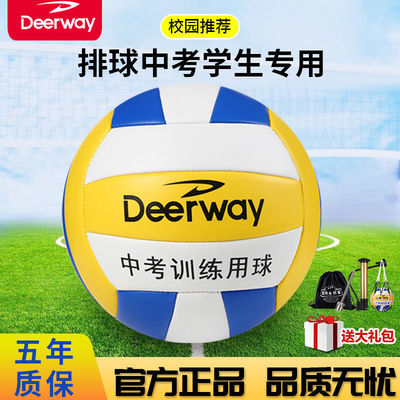 德尔惠中考学生专用比赛软硬排5号儿童初中生小学生训练气排球36
