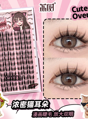 荔树纯欲猫耳朵大恶魔浓密睫毛超自然仿真单簇分段卷翘超软新手