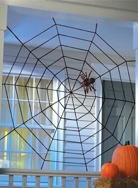 极速Halloween Spiders Web SpiderWeb Cobweb Halloween bar hau
