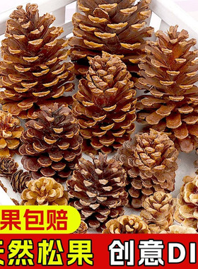 圣诞松果装饰松塔天然幼儿园摆件手工diy材料挂件松果球干花花环