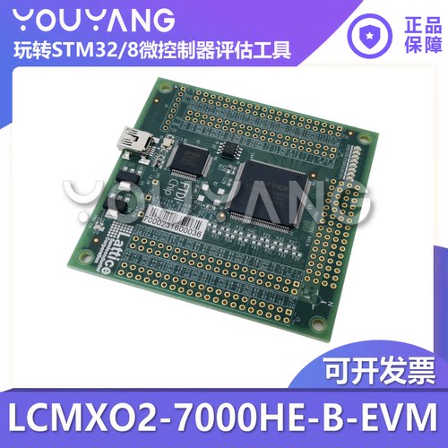 LatticeLCMXO2-7000HE-B-EVM开发