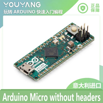 ArduinoMicrowithoutheaders