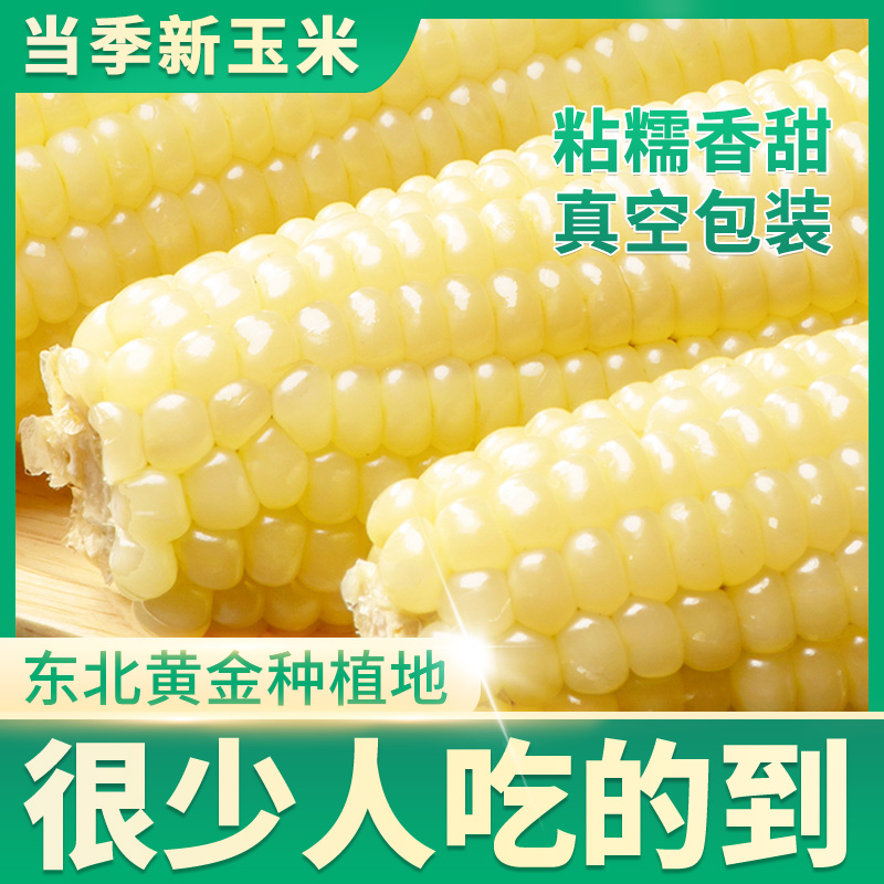 东北真空包装黏玉米棒白糯苞米
