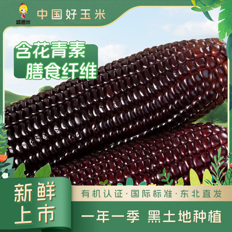 黑糯玉米东北有机新鲜黑糯甜玉米大棒花青素粘黏苞米正宗早餐代餐,粮油调味/速食/干货/烘焙,玉米,淘宝优惠券,粉丝福利购,淘宝优惠卷