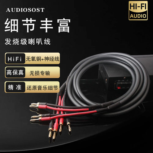 发烧喇叭线主音箱环绕音响线