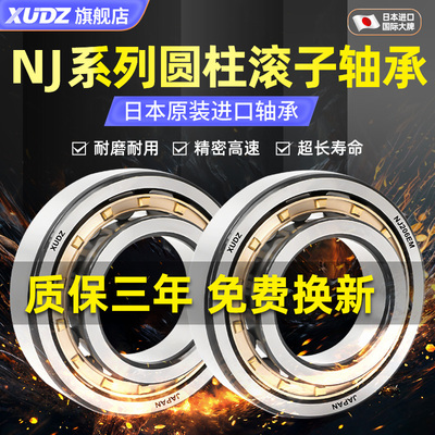 日本进口XUDZ圆柱滚子轴承NJ202 203 204 205 206 207 208 209 EM